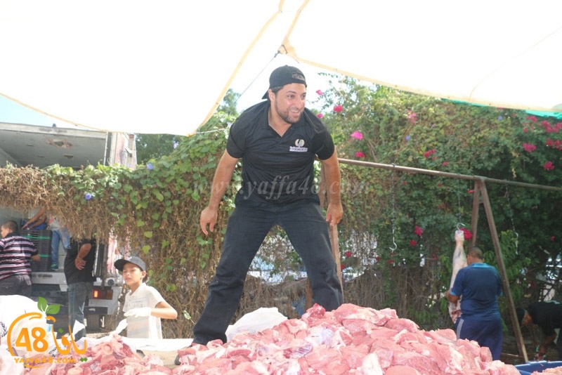 lod8om ada73y (13).JPG